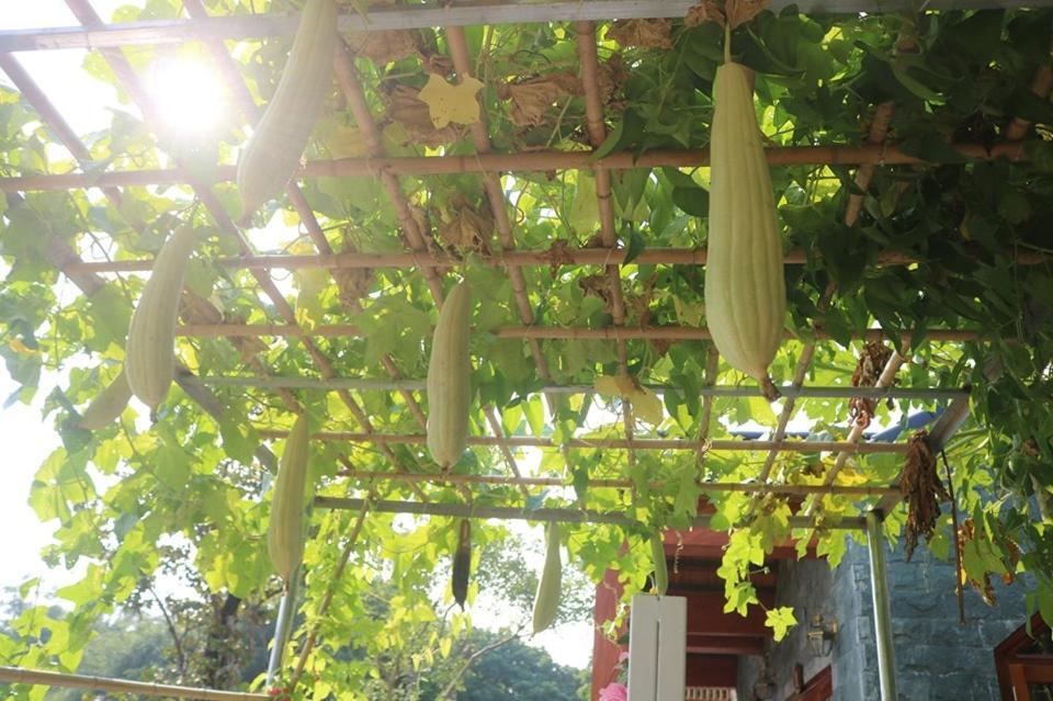 Hang Mua Nature Homestay Ninh Binh Exterior photo